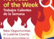 Hot Jobs of the Week